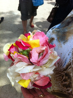 flores a maria